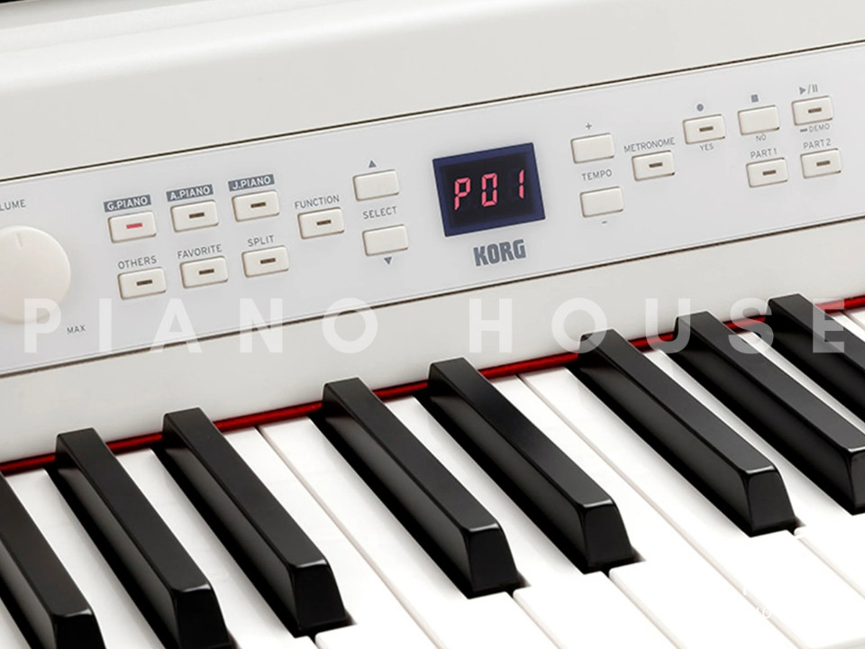 KORG G1B Air (White)