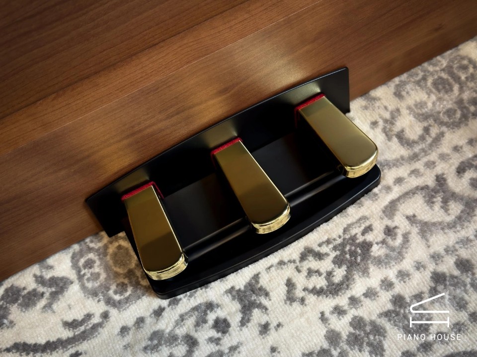 KORG Poetry Chopin-Inspired