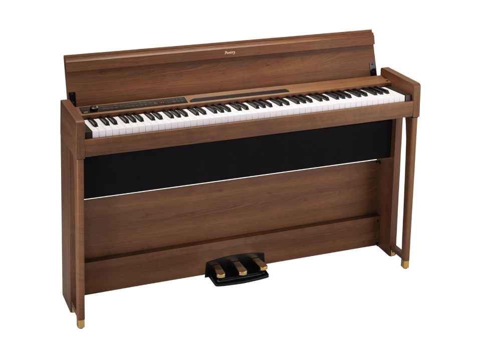 KORG Poetry Chopin-Inspired