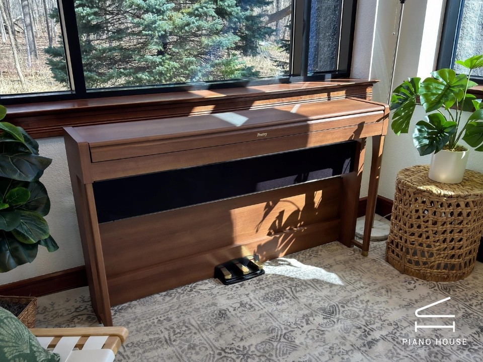 KORG Poetry Chopin-Inspired