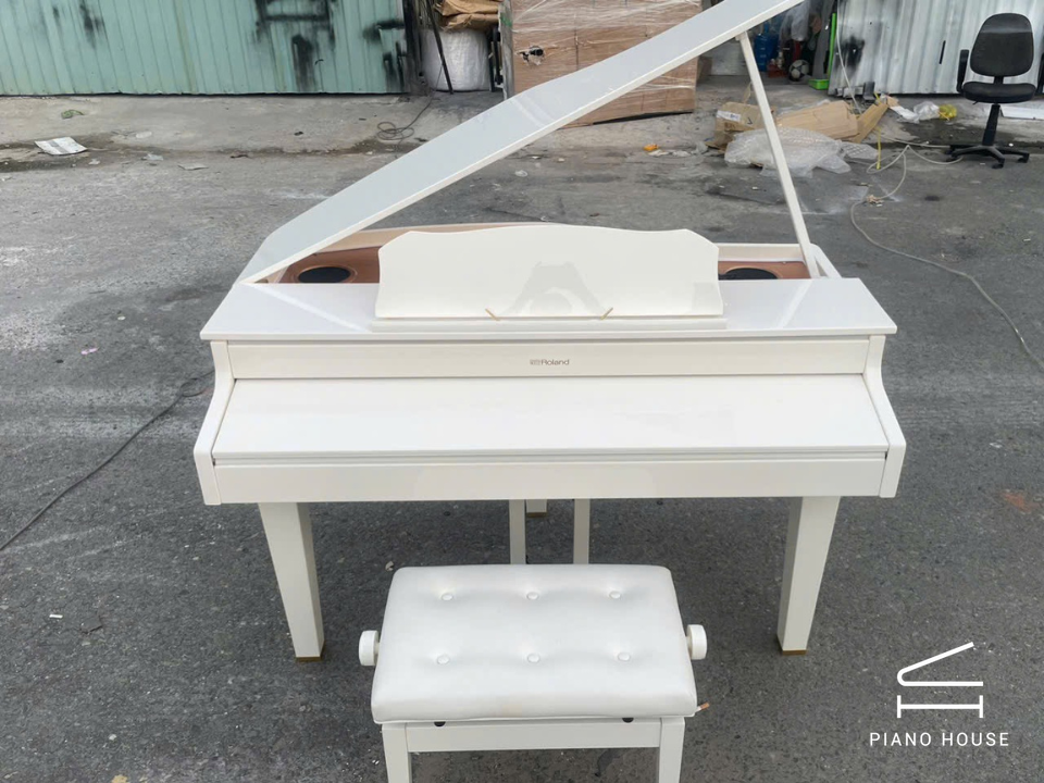 ROLAND GP-607 PW (USED)