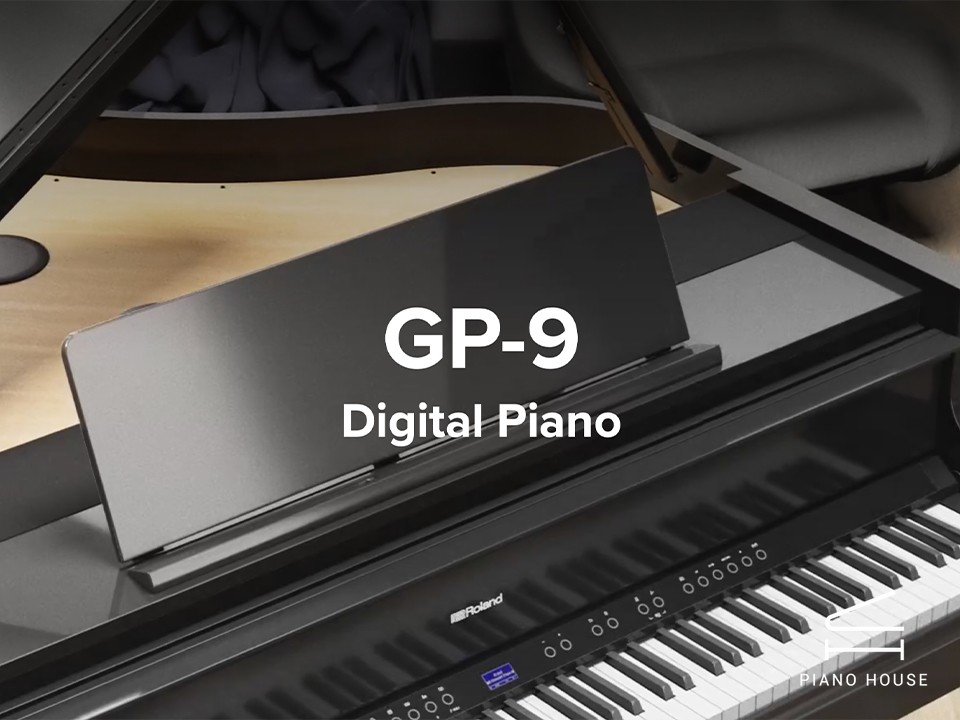 ROLAND GP-9 PE