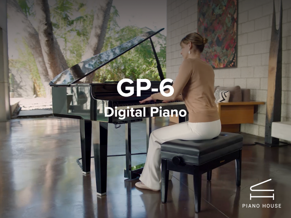 ROLAND GP-6 PE (Used)