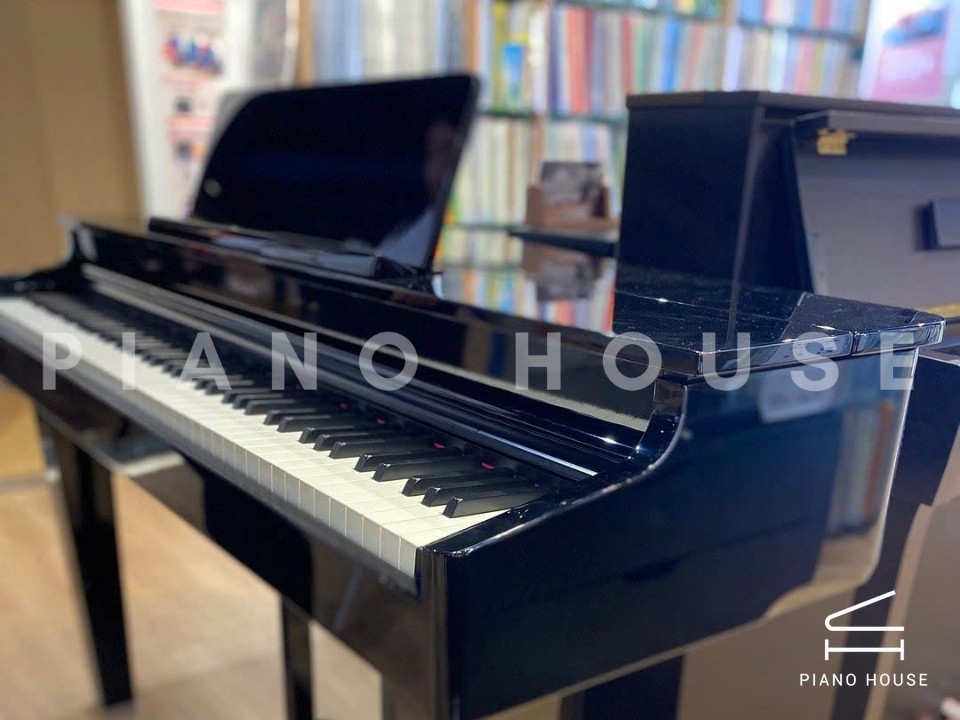 ROLAND GP-6 PE (Used)