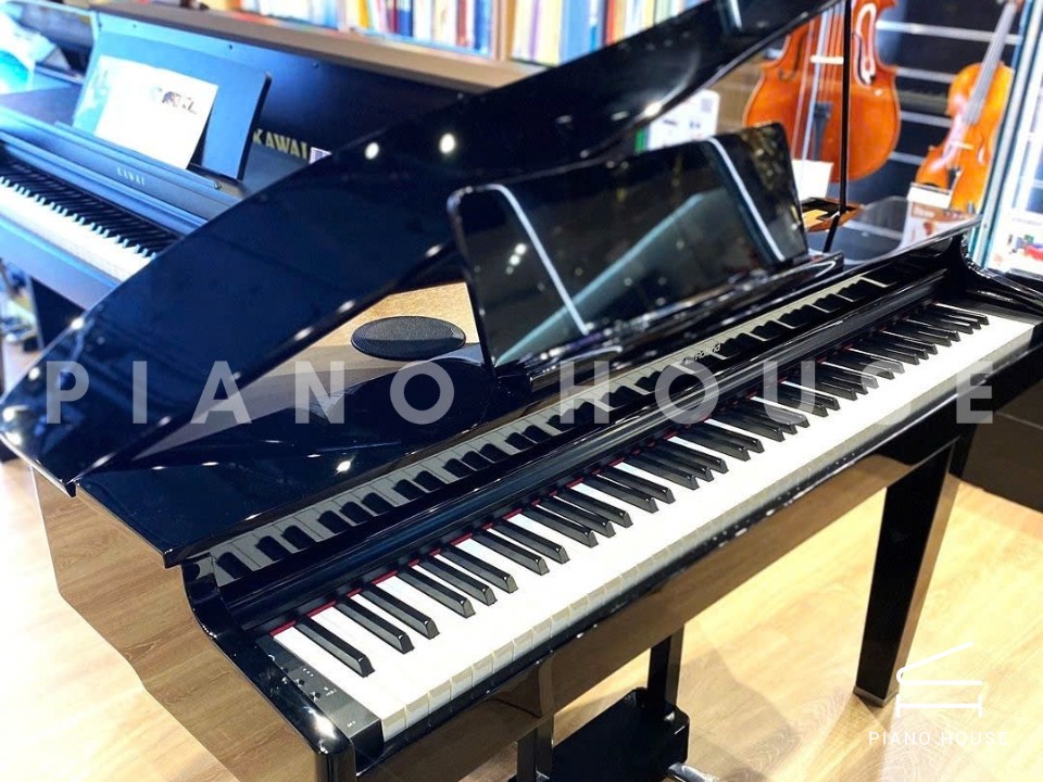 ROLAND GP-6 PE (Used)