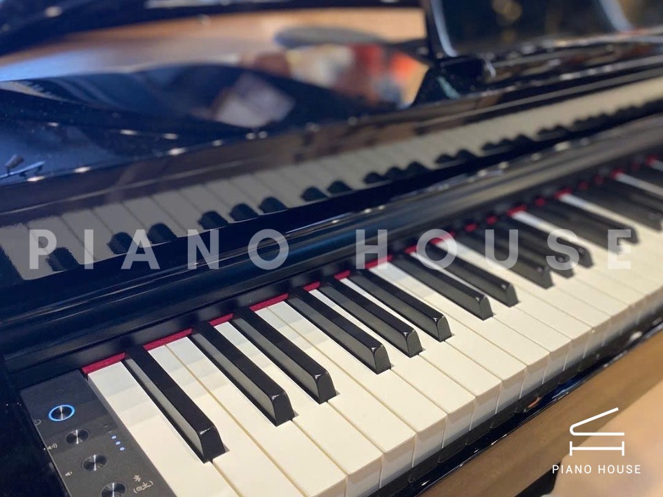 ROLAND GP-6 PE (Used)