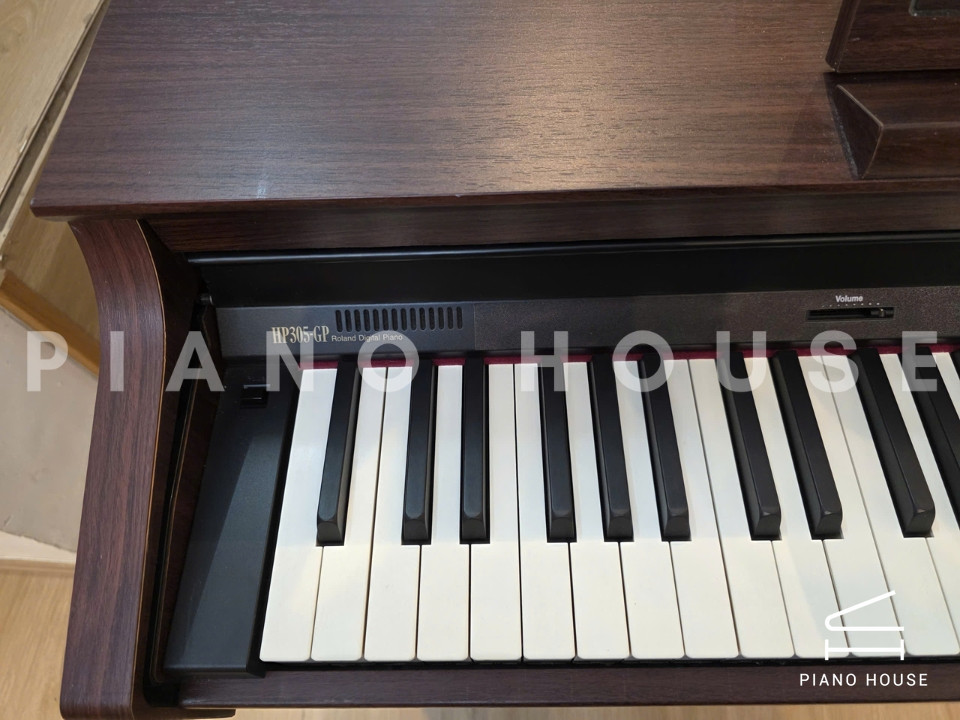 ROLAND HP-305 GP