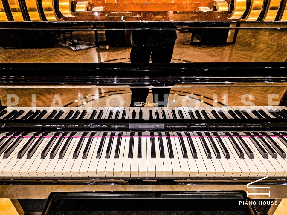 ROLAND LX-17 PE