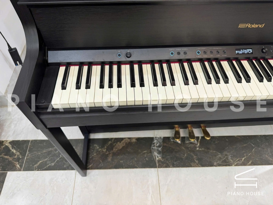 ROLAND LX-708 CB (New)