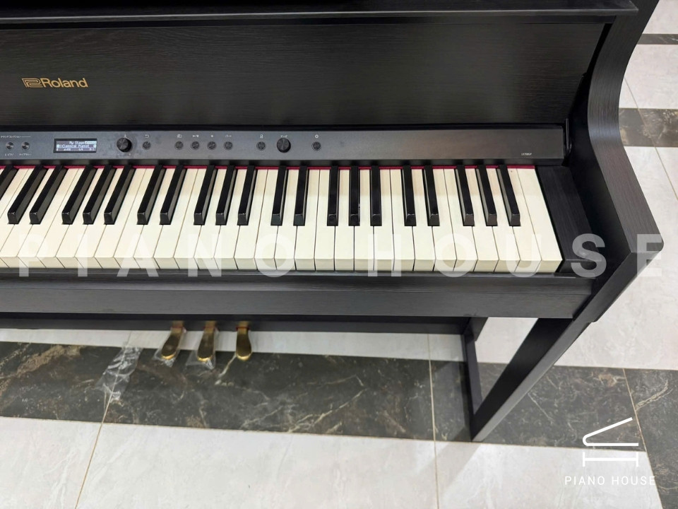 ROLAND LX-708 CB (New)