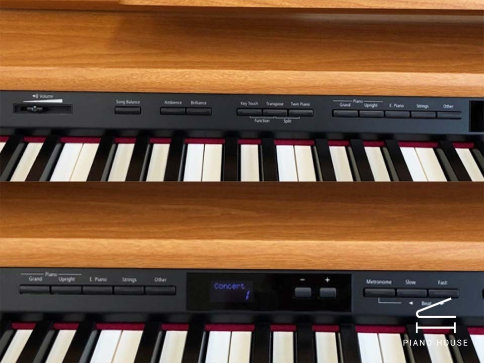 ROLAND DP-90E LWS