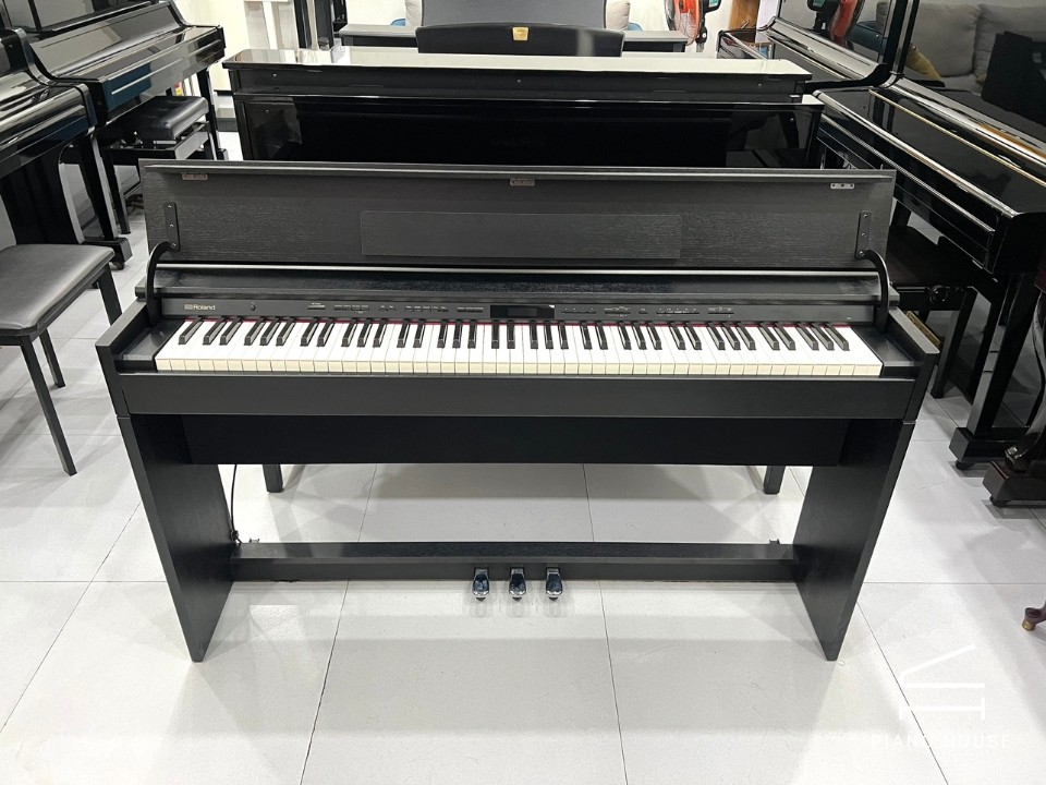 ROLAND DP-603 CBS (New)