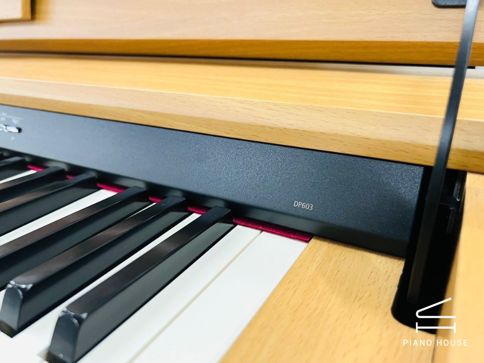 ROLAND DP-603 NBS