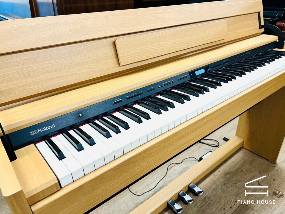 ROLAND DP-603 NBS