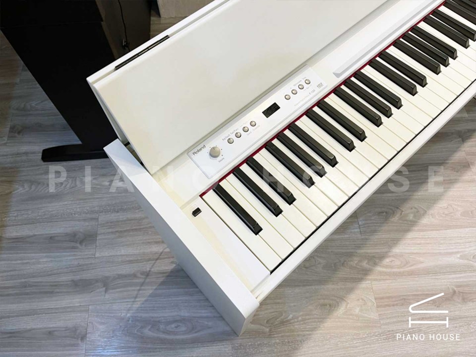 ROLAND F-120 WH