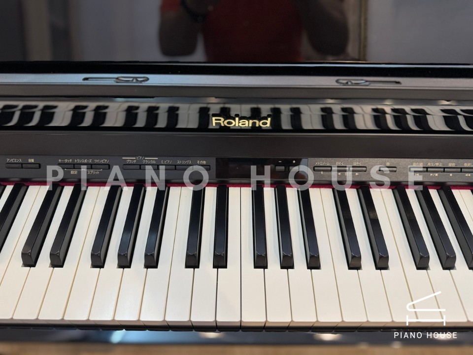 ROLAND HP-503 PE