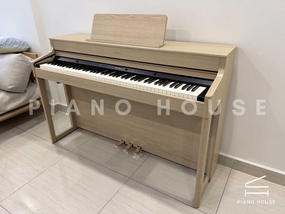 ROLAND HP-702 LO (USED)