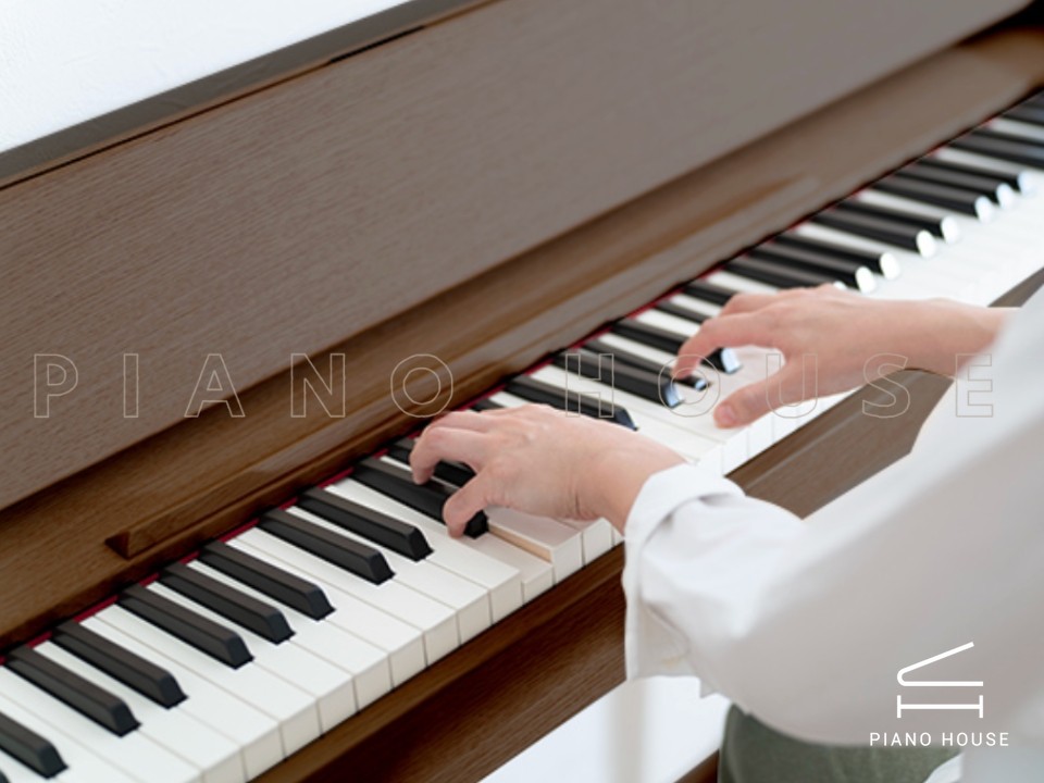 ROLAND Kiyola KF-20 KW