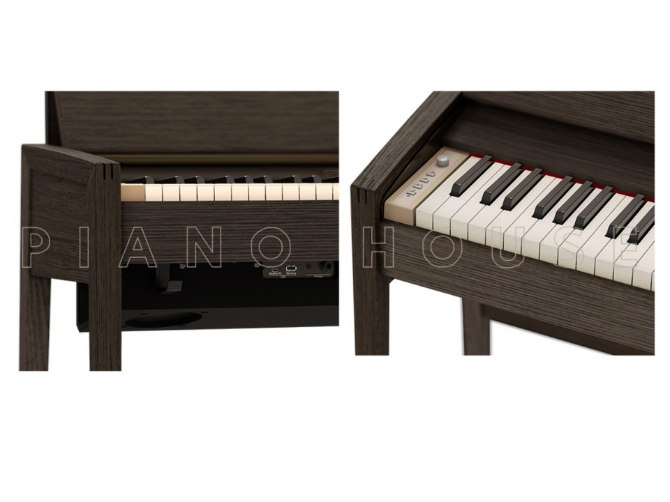 ROLAND Kiyola KF-25 KSO