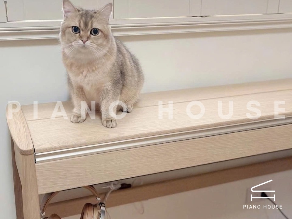 ROLAND KF-10 Kiyola PO (used)