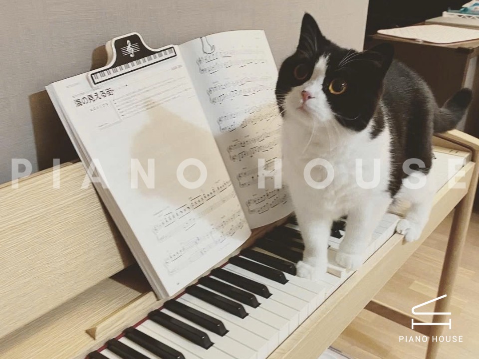 ROLAND KF-10 Kiyola PO (used)