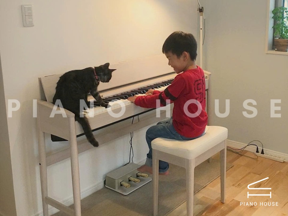 ROLAND KF-10 SW (used)