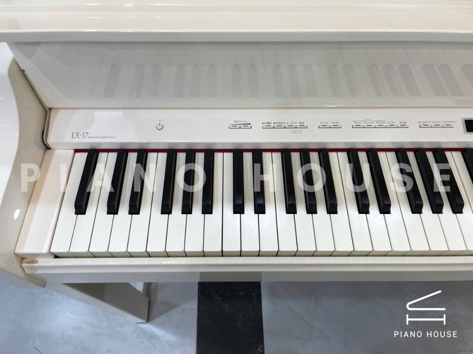 ROLAND LX-17 WH