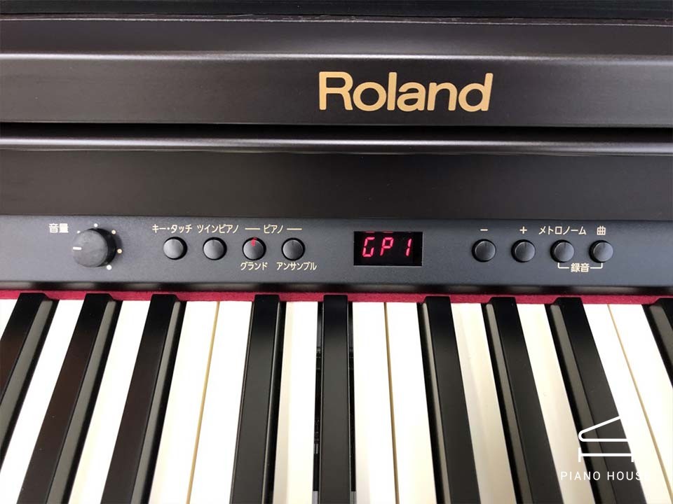 ROLAND RP-301 RW