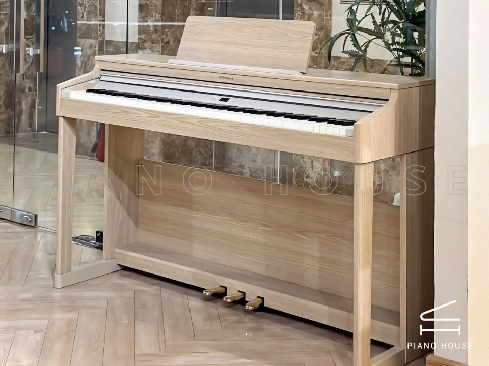 ROLAND RP-701 LO (USED)