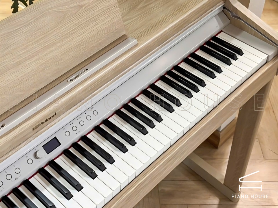 ROLAND RP-701 LO (USED)