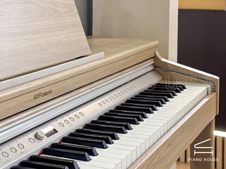 ROLAND RP-701 LO (USED)