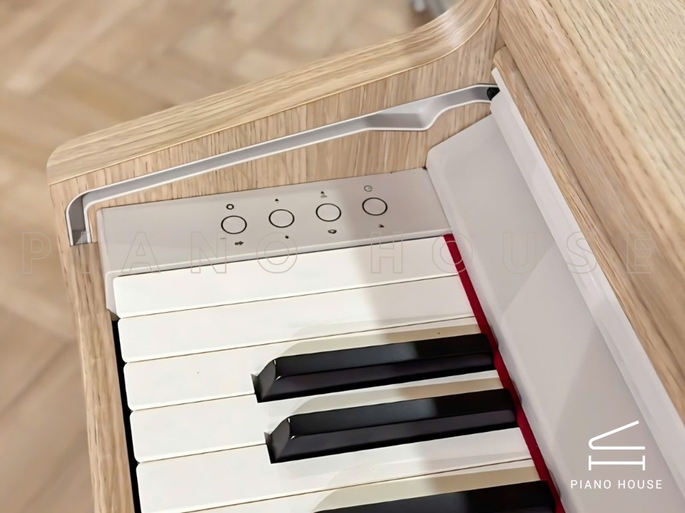 ROLAND RP-701 LO (USED)