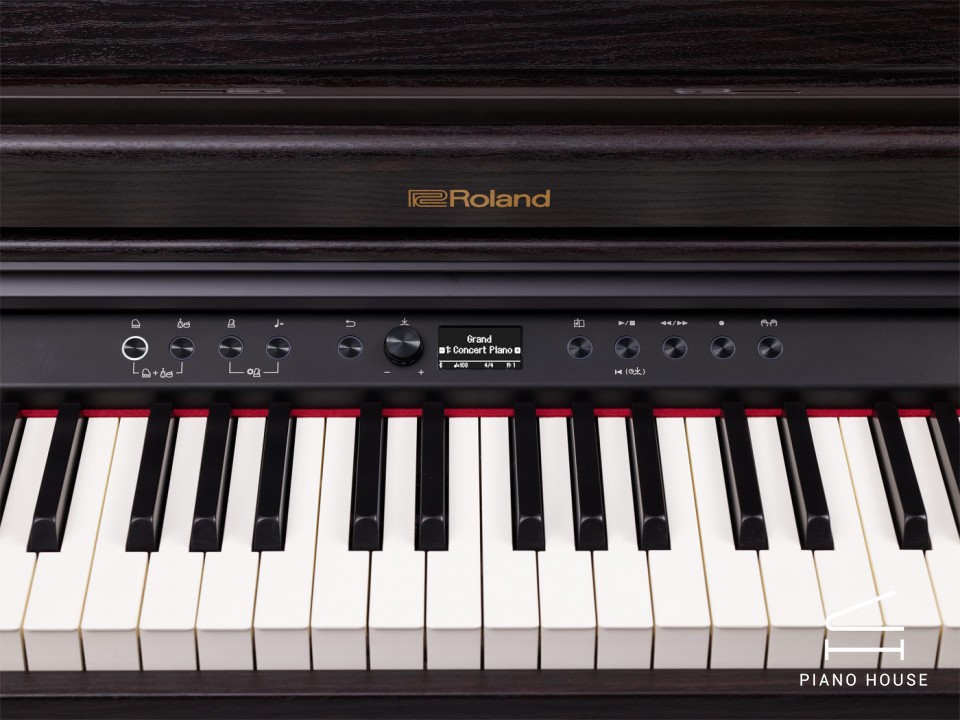 ROLAND RP-701 DR