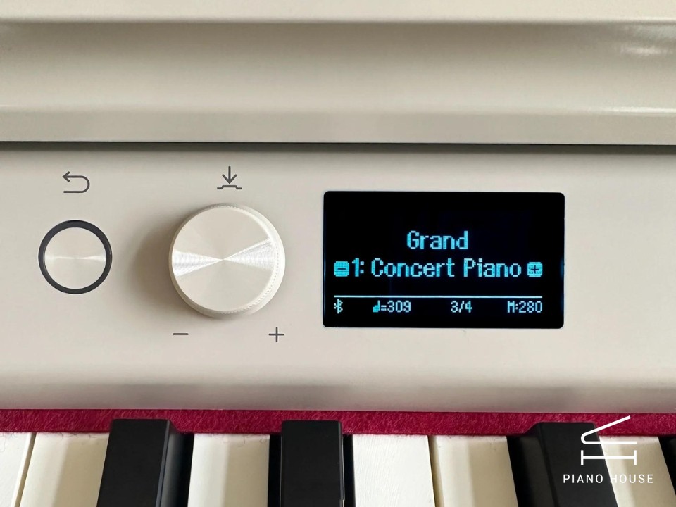 ROLAND RP-701 LO (USED)