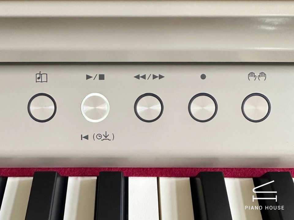 ROLAND RP-701 LO (USED)