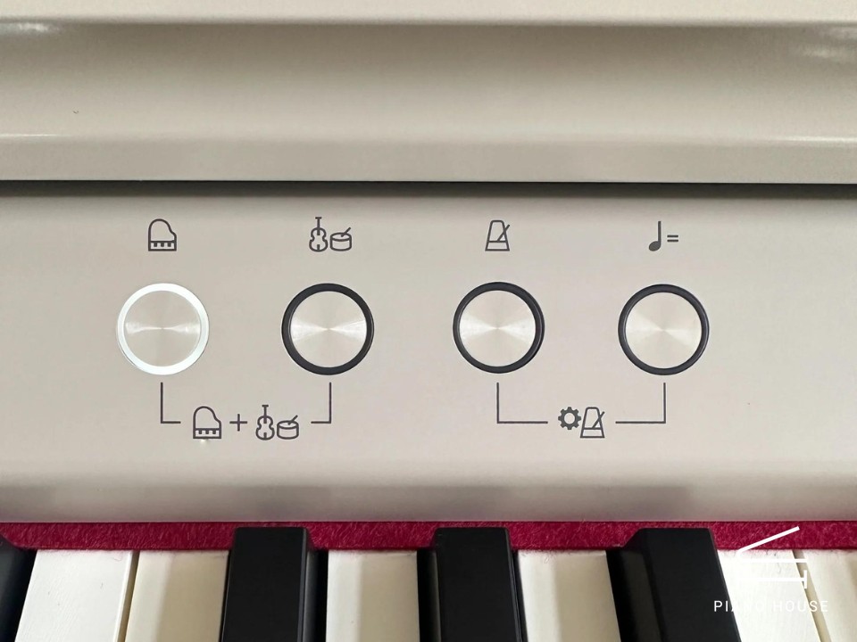 ROLAND RP-701 LO (USED)