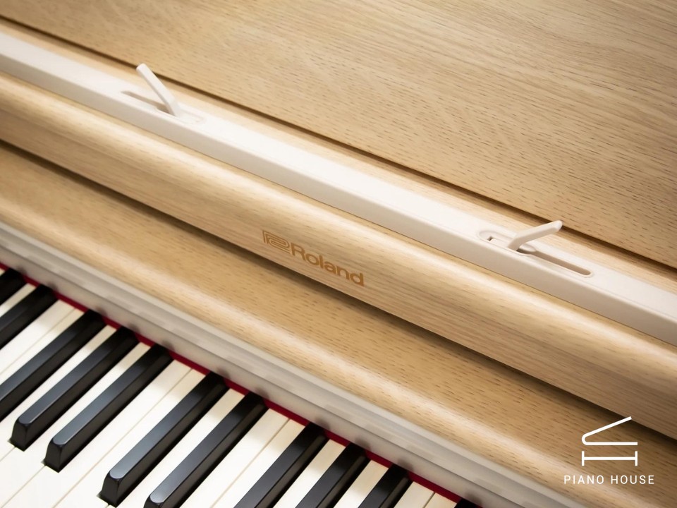 ROLAND RP-701 LO