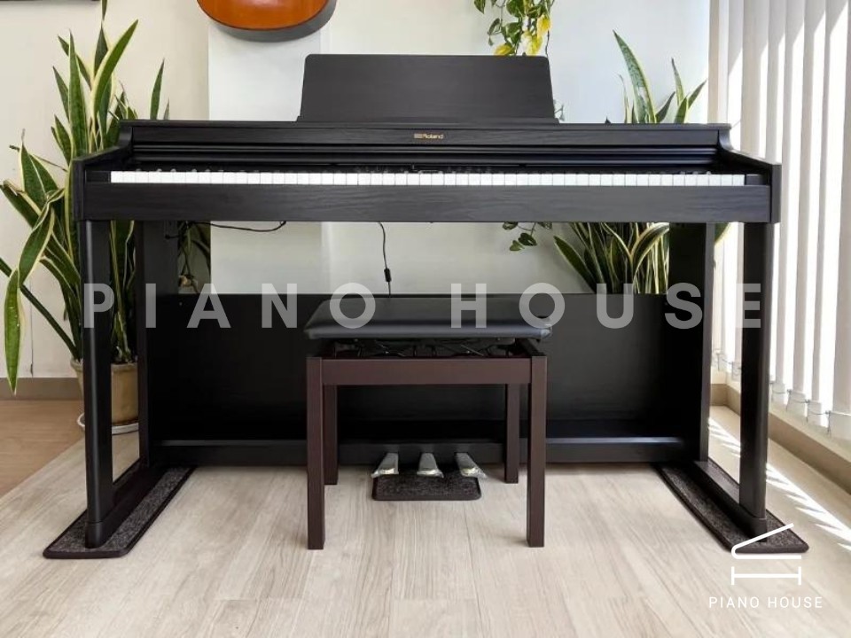 ROLAND RP-701 DR (Used)