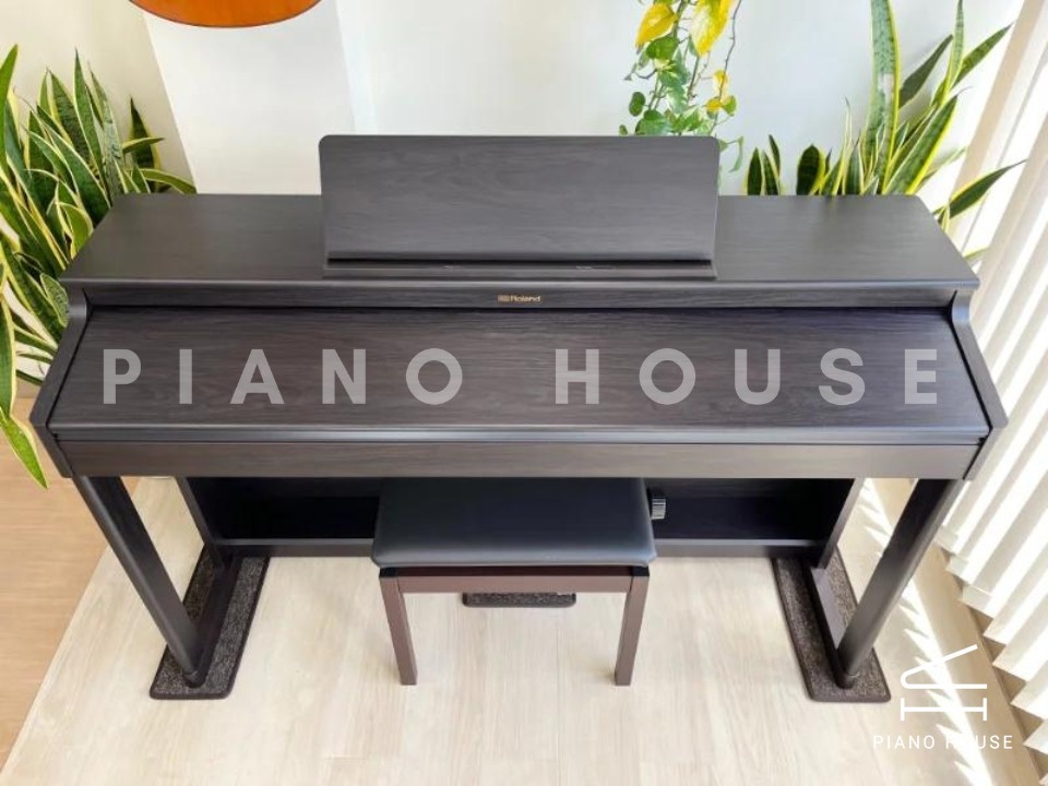 ROLAND RP-701 DR (Used)