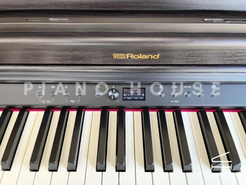 ROLAND RP-701 DR (Used)