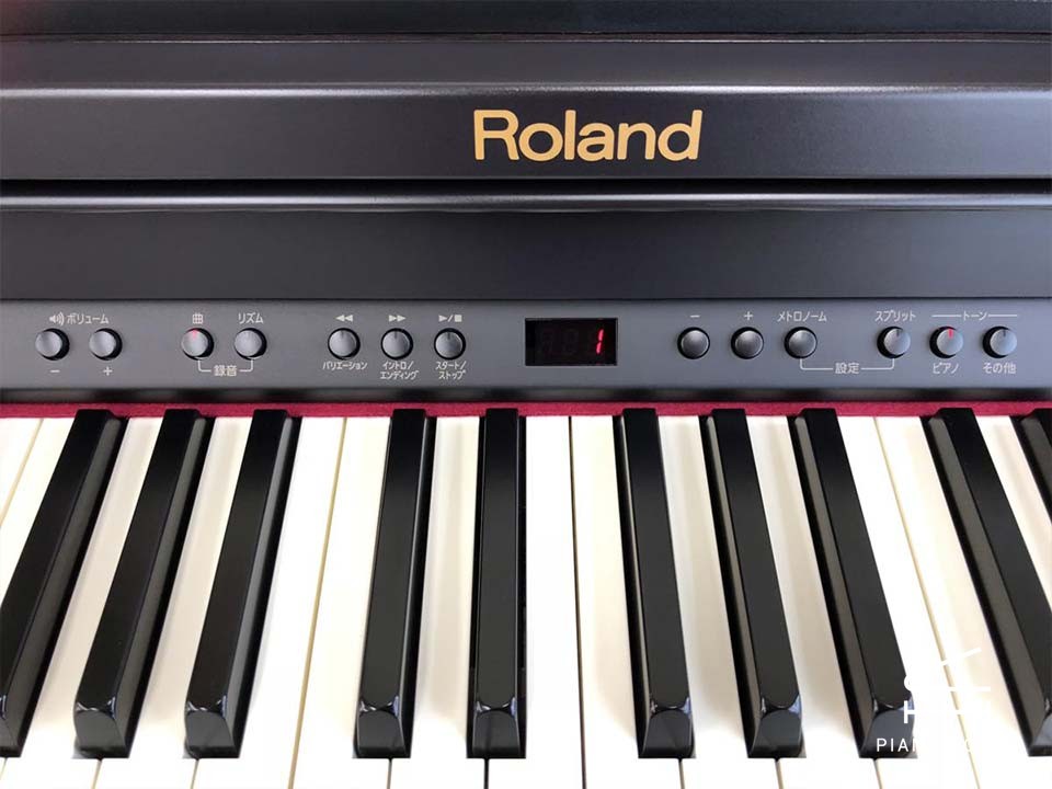 ROLAND RP-401 RW