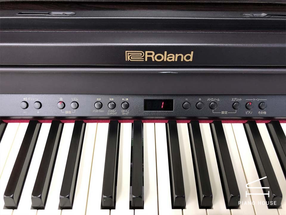 ROLAND RP-501R