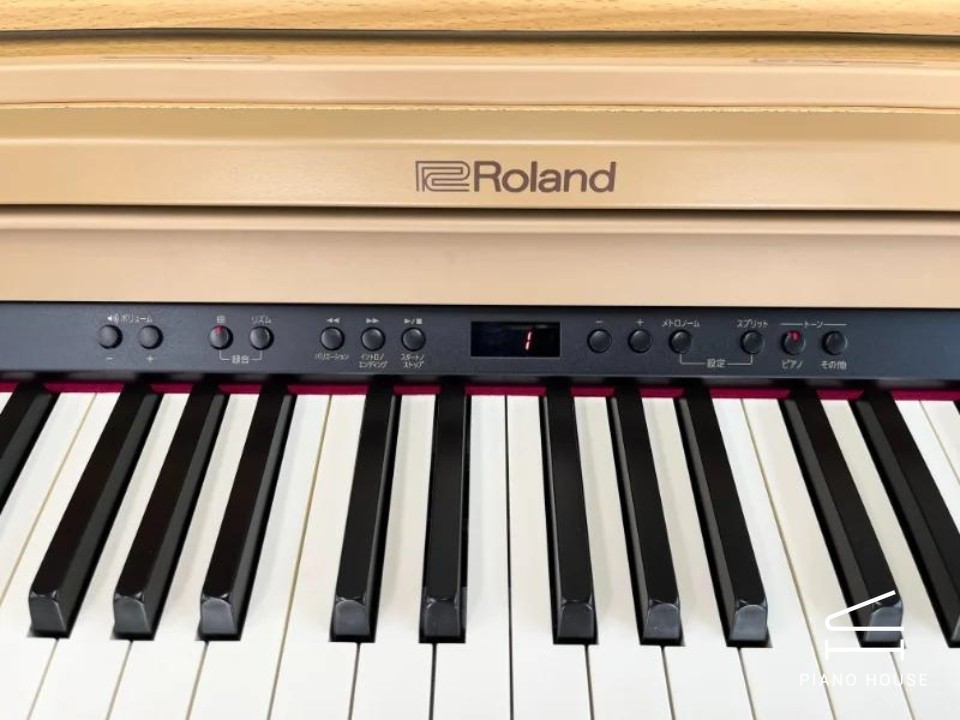 ROLAND RP-501R NBS