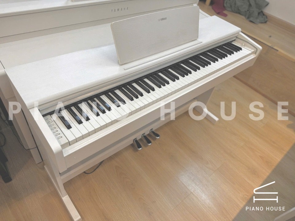 YAMAHA YDP-223 R