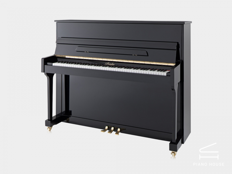 Irmler P118 Studio (Designed by Blüthner)