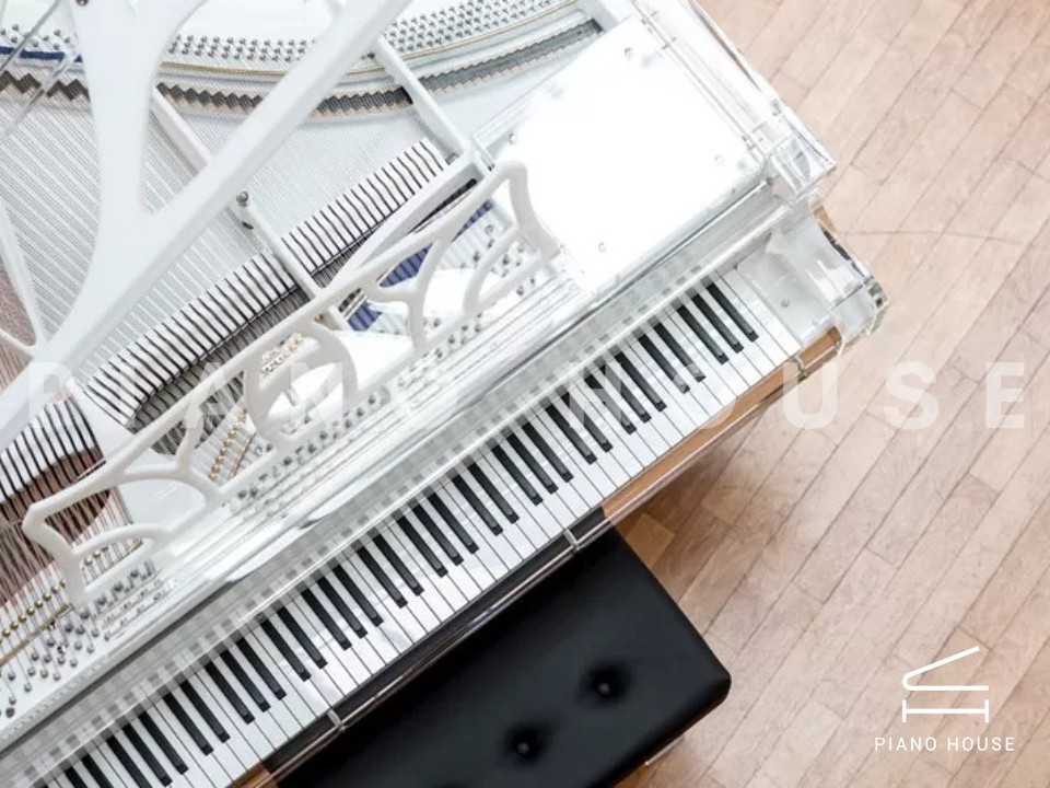 Blüthner Hive Elegence