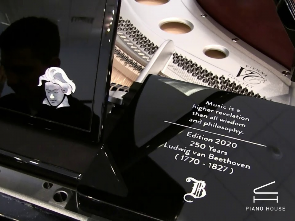 [Collector's Item] 250 Years Beethoven