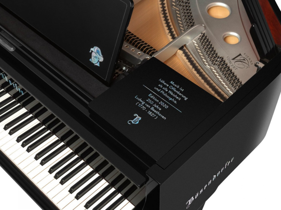 [Collector's Item] 250 Years Beethoven