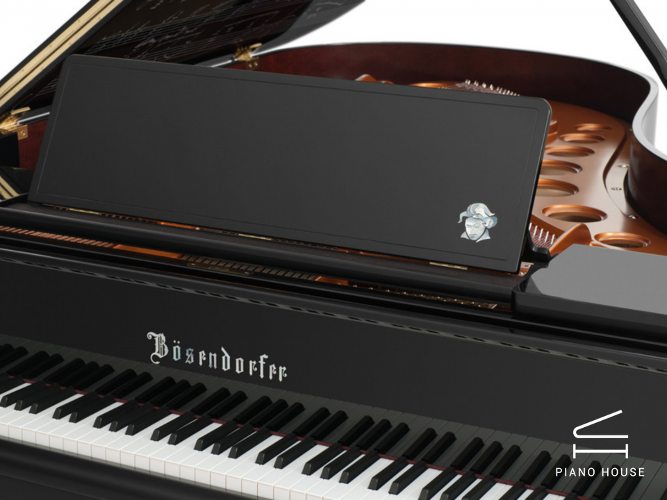 [Collector's Item] 250 Years Beethoven