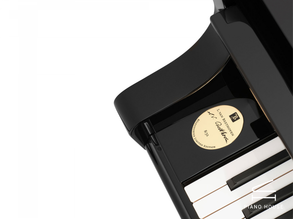 [Collector's Item] 250 Years Beethoven